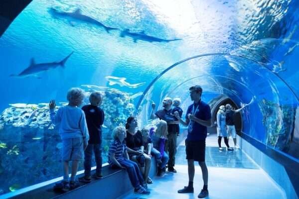 The National Aquarium Abu Dhabi 150 AED PER PERSON